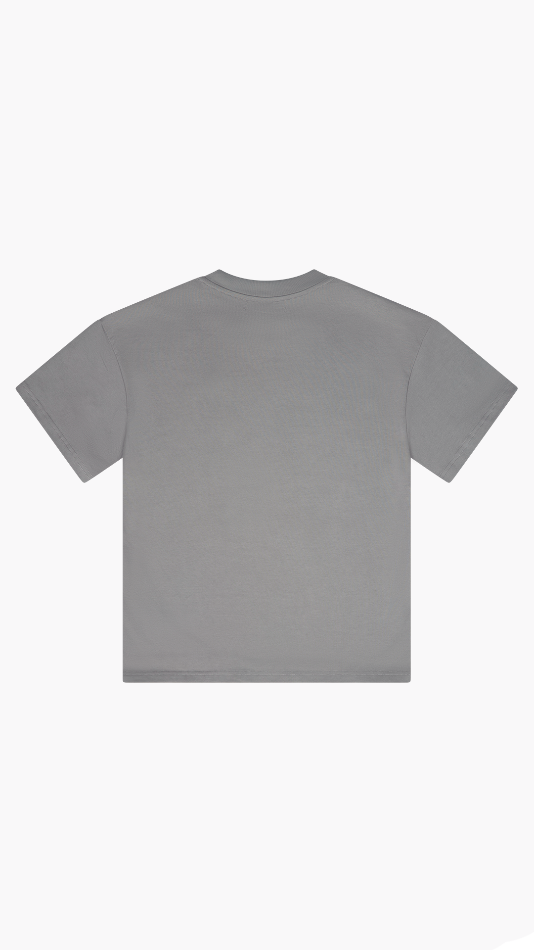 SEVANI HEAVYWEIGHT S STONE T-SHIRT